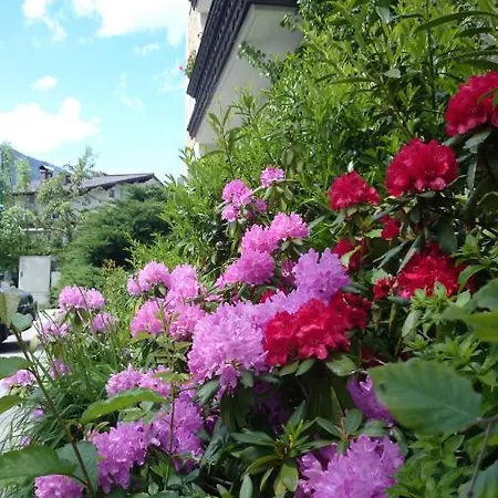 Hotel Zum Toni Bad Hofgastein