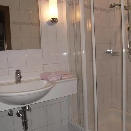 Отель Zum Toni 3*