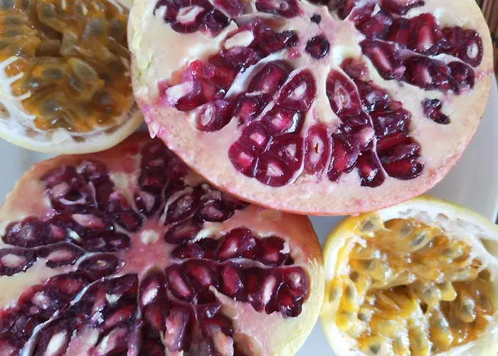 托尼酒店 3* 巴特霍夫加施泰因